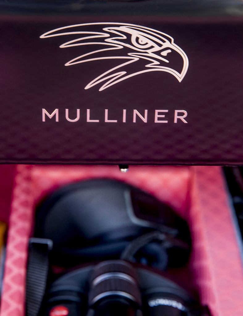 Bentley Bentayga Falconry by Mulliner (30)